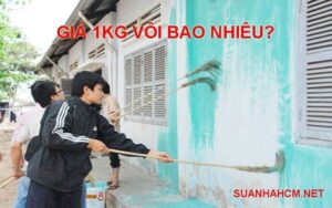 giá 1kg vôi quét tường