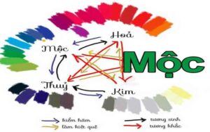 mệnh mộc sơn nhà màu gì