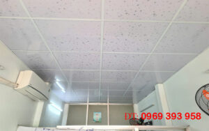 gia lam la phong tha nhua