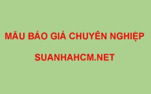 Mẫu bảng báo giá