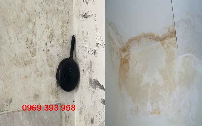 cách sử lý tường nhà bị ẩm mốc