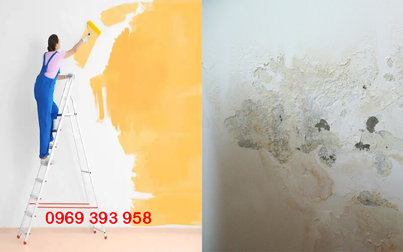 sơn chống ẩm mốc trong nhà