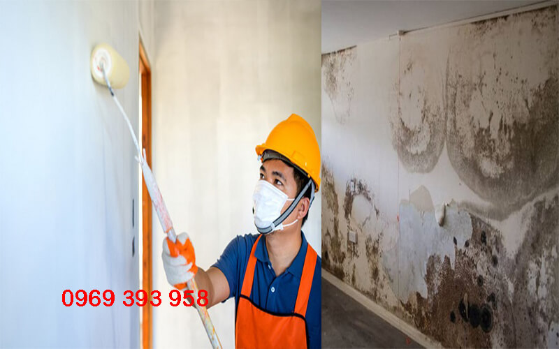 sơn chống ẩm mốc tường nhà